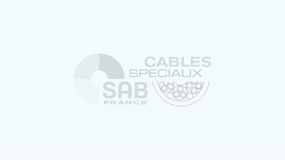 Câbles d’extension pour l’industrie automobile